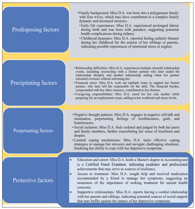 Client’s risk and protective factors.